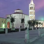 Olives Zadar