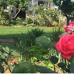 Olives *