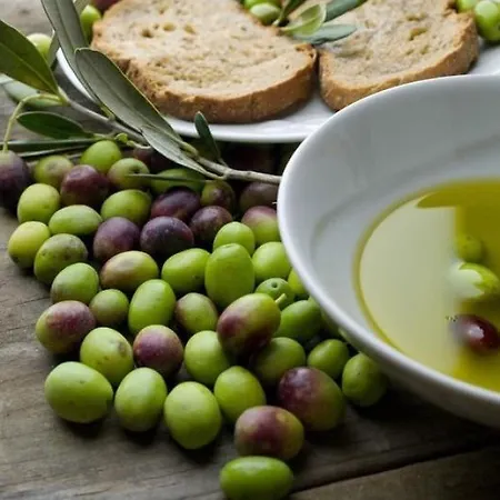 Olives * Zadar