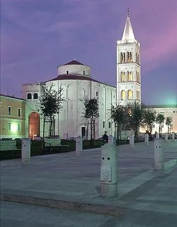 Olives Zadar